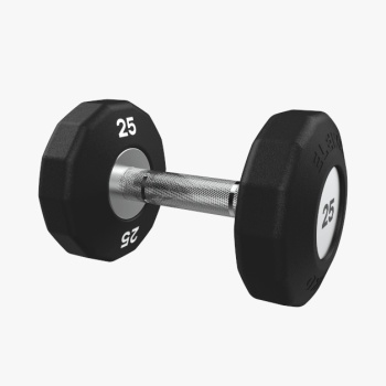 Eleiko Evo jednoruky  fixed | Eleiko.cz